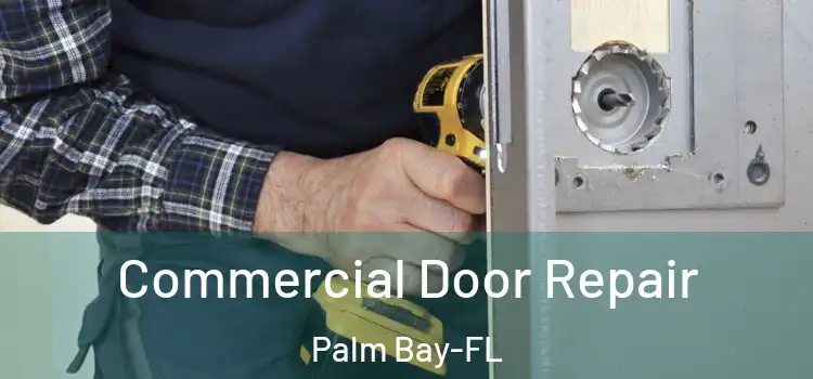 Commercial Door Repair Palm Bay-FL