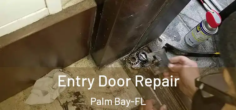  Entry Door Repair Palm Bay-FL