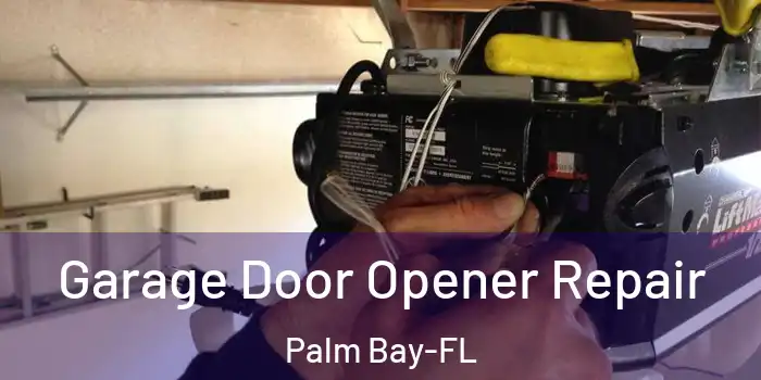  Garage Door Opener Repair Palm Bay-FL