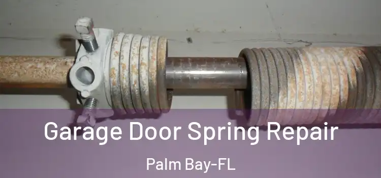  Garage Door Spring Repair Palm Bay-FL