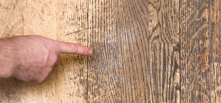 Wood Door Scratch Repair in Palm Bay