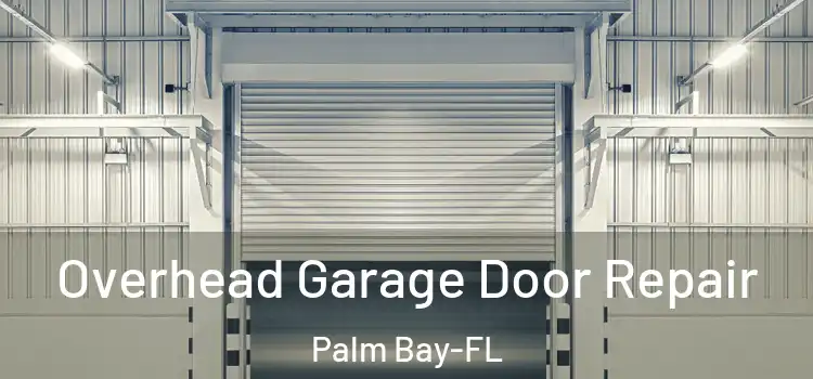  Overhead Garage Door Repair Palm Bay-FL